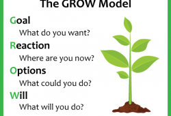the grow model